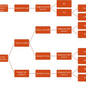 model 2_breast cancer article Breast density notification with adjunctive digital breast tomosynthesis (DBT): A cost-effectiveness analysis
